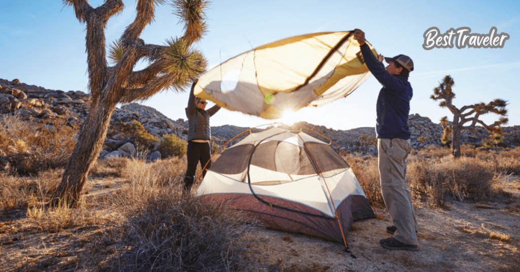 Desert Oases